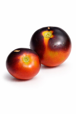 🍅INDIGO APPLE 🍅  x 15 organic seeds