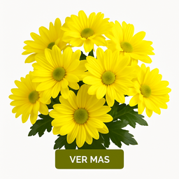 Margaritas Amarillas