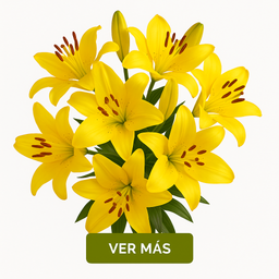 Lilis Amarillas