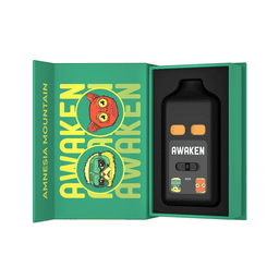 Amnesia Mountain | ETCHED DUO