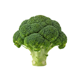 Fresh Broccoli