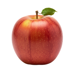 Fresh Harvest Organic Apple