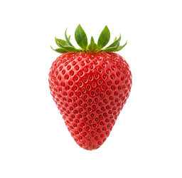 Best Quality Hybrid Strawberry