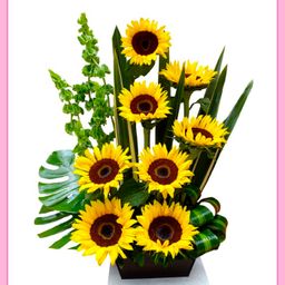 Arreglo de girasoles 8 piezas