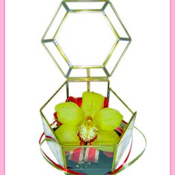 Arreglo floral de orquídea cimbidium 1 pieza