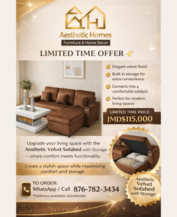 Aesthetic Velvet Sofa Bed + Extra Storage 