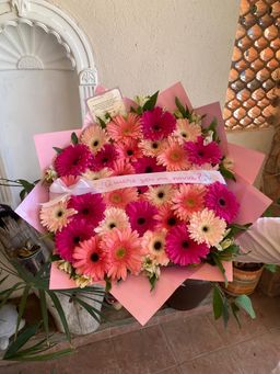 30 gerberas con listón