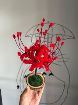 Red spider lily
