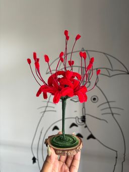 Red spider lily