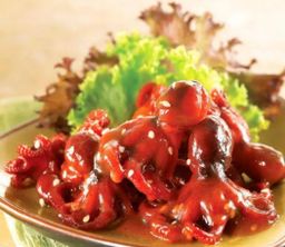 Sotong / Squid / Octopus