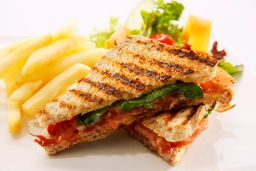 Cheese and tomato sandwich