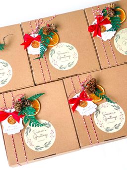 🎄ʜᴀᴍᴘᴇʀs ᴄʜʀɪsᴛᴍᴀs ʏᴇᴀʀ 𝟸𝟶𝟸𝟷-𝟸𝟶𝟸𝟻🎄