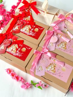 🪭ʜᴀᴍᴘᴇʀs ᴄɴʏ ʏᴇᴀʀ 𝟸𝟶𝟸𝟸-𝟸𝟶𝟸𝟻🪭