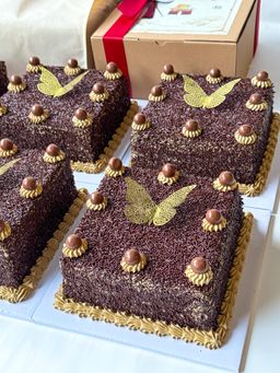 🪭ʜᴀᴍᴘᴇʀs ᴄɴʏ ʏᴇᴀʀ 𝟸𝟶𝟸𝟸-𝟸𝟶𝟸𝟻🪭