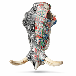 Artist Painted skulls