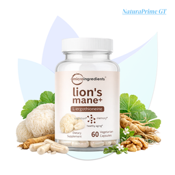 Lion's Mane - 60 cápsulas