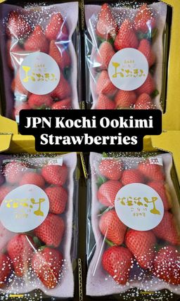 JPN KOCHI OOKIMI RED STRAWBERRIES 大贵妃