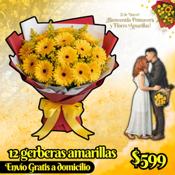 12 gerberas amarillas