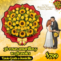 36 rosas amarillas y 10 girasoles