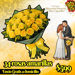 34 rosas amarillas