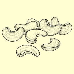 Regular Cashews