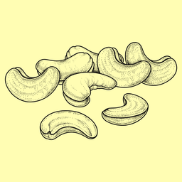 Economy Cashews
