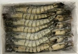 Black Tiger prawn Hoso 13/15 (1 ctn)