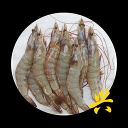 Vannamei Prawn Hoso 20/30