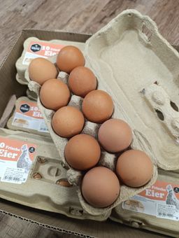 بيض   | Eier Größe L/M