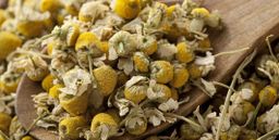 Chamomile 800 Ml
