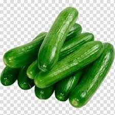 Chinese Cucumber