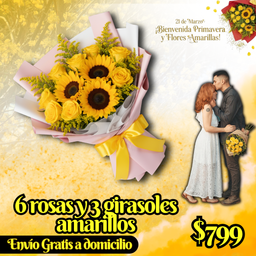 6 rosas y 3 girasoles