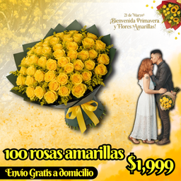 100 rosas amarillas