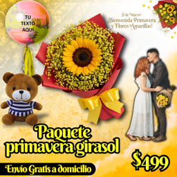 Paquete primavera girasol