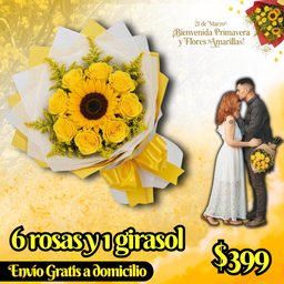 6 rosas y 1 girasol
