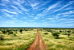 Virtual Photography (up to 20 images)