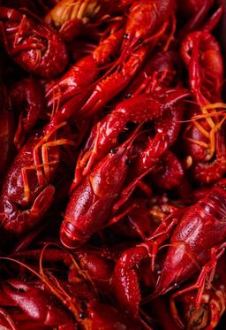 Crawfish Boil