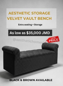 Aesthetic Storage Vault bench