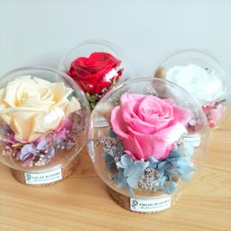 Enchanted Rose Round Glass