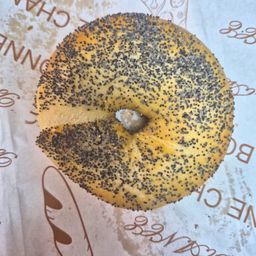 Poppy Seed Bagels 