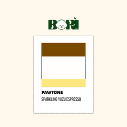 Iced Sparkling Yuzu Espresso