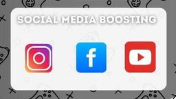 SOCIAL MEDIA BOOSTER