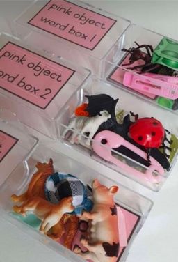 Pink Language Series 💗 English