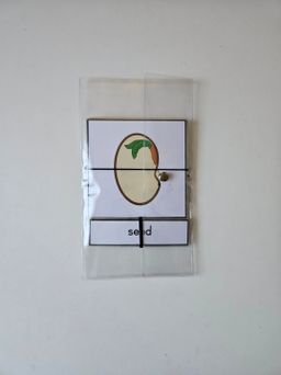 Parts of a seed nomenclature