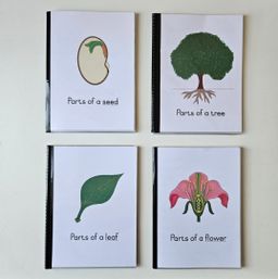 Parts of a seed definition booklet 