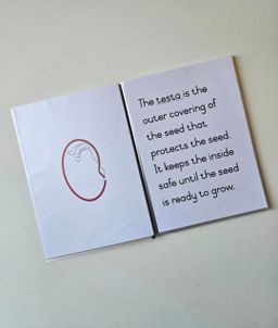 Parts of a seed definition booklet 