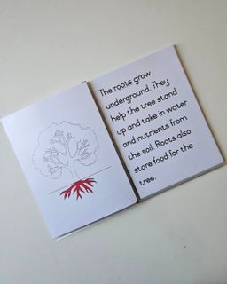 Parts of a tree definition booklet 