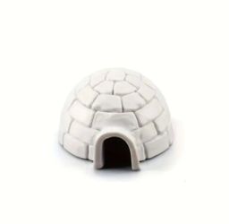 Igloo