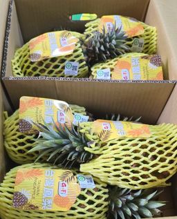 Taiwan Pineapple