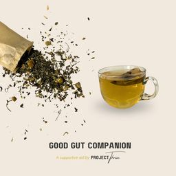Good Gut Companion 